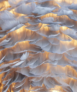 "The FLIRT" Single Class